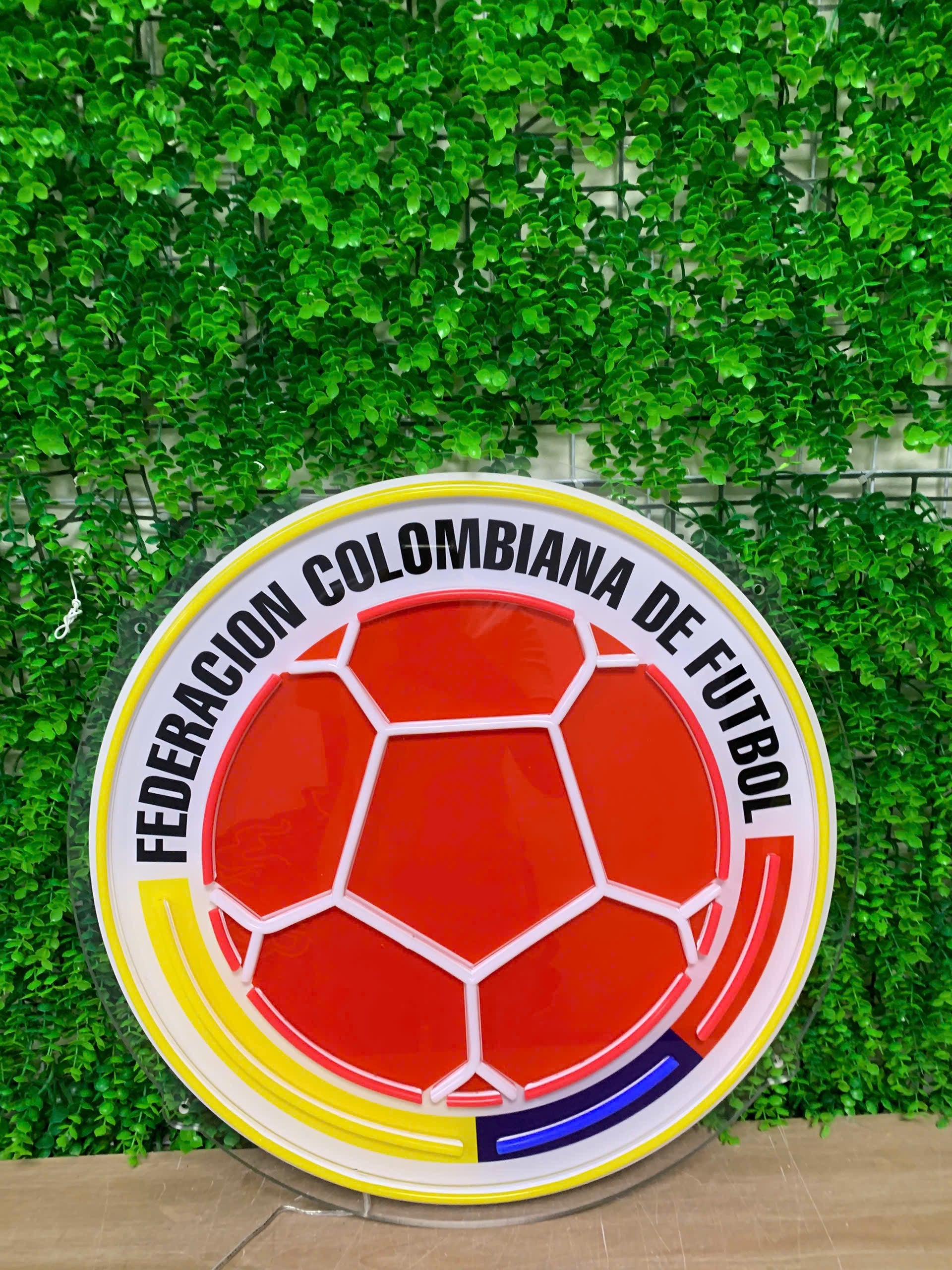 A circular wall sign featuring the emblem of the Federacion Colombiana de Futbol, with a red soccer ball design and the text 'FEDERACION COLOMBIANA DE FUTBOL' in black around the top half. The sign has a white border with yellow and red segments, and a small blue segment at the bottom, set against a green ivy wall background.