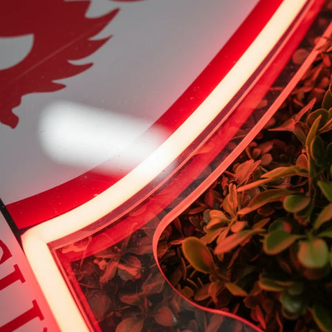 Middlesbrough Neon Sign 2